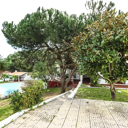 Cuca By Refugio Almada